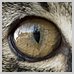 photography_02_icon