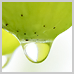 photography_05_icon