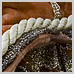 photography_08_icon