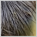 photography_11_icon