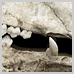 photography_17_icon