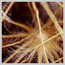 photography_22_icon