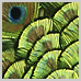 photography_23_icon