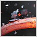 photography_24_icon