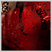 photography_26_icon