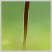 photography_28_icon