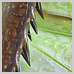photography_30_icon