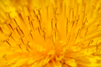 photography_01_thumb